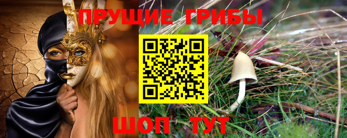 закладки  Галлюциногенные грибы ЛСД  Вход с VPN  Сызрань 