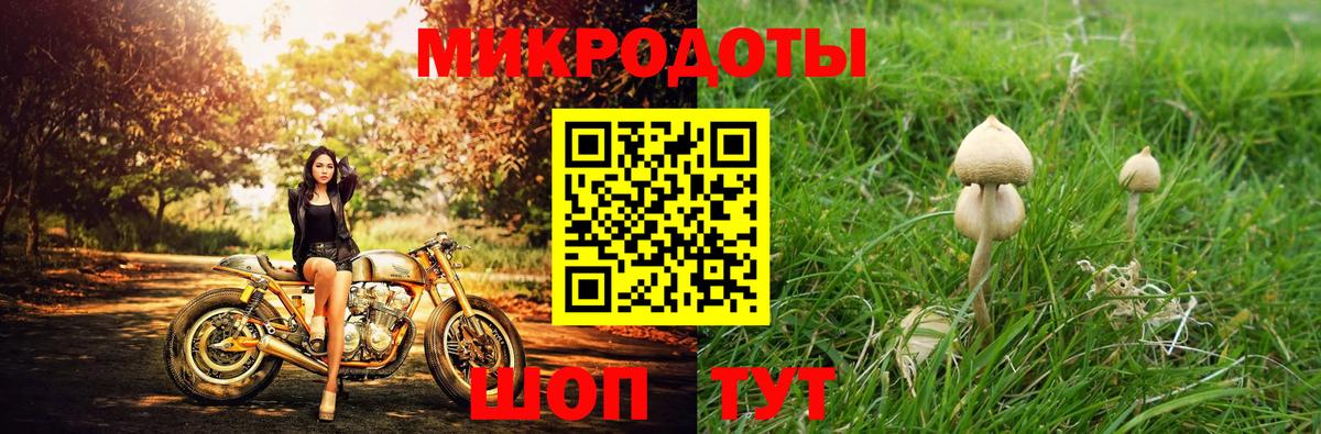 Галлюциногенные грибы Cubensis Сызрань